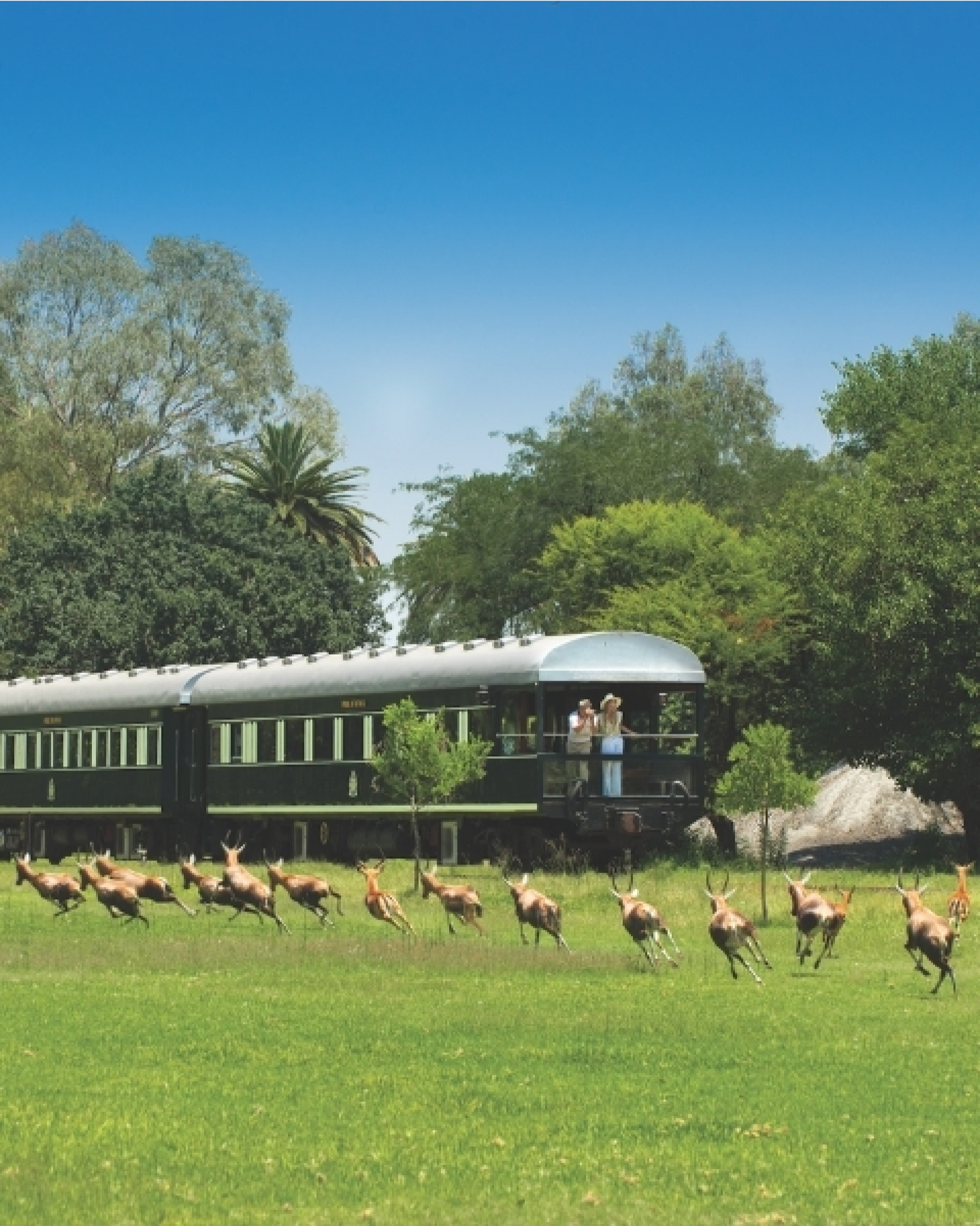 Timbavati Mountain Biking Safari Venture across South Africa on this spectacular 10 day luxury rail safari from the Sabi Sands Private Game Reserve right down to Cape Town on this adventure of a lifetime. Plan your tripMore Info