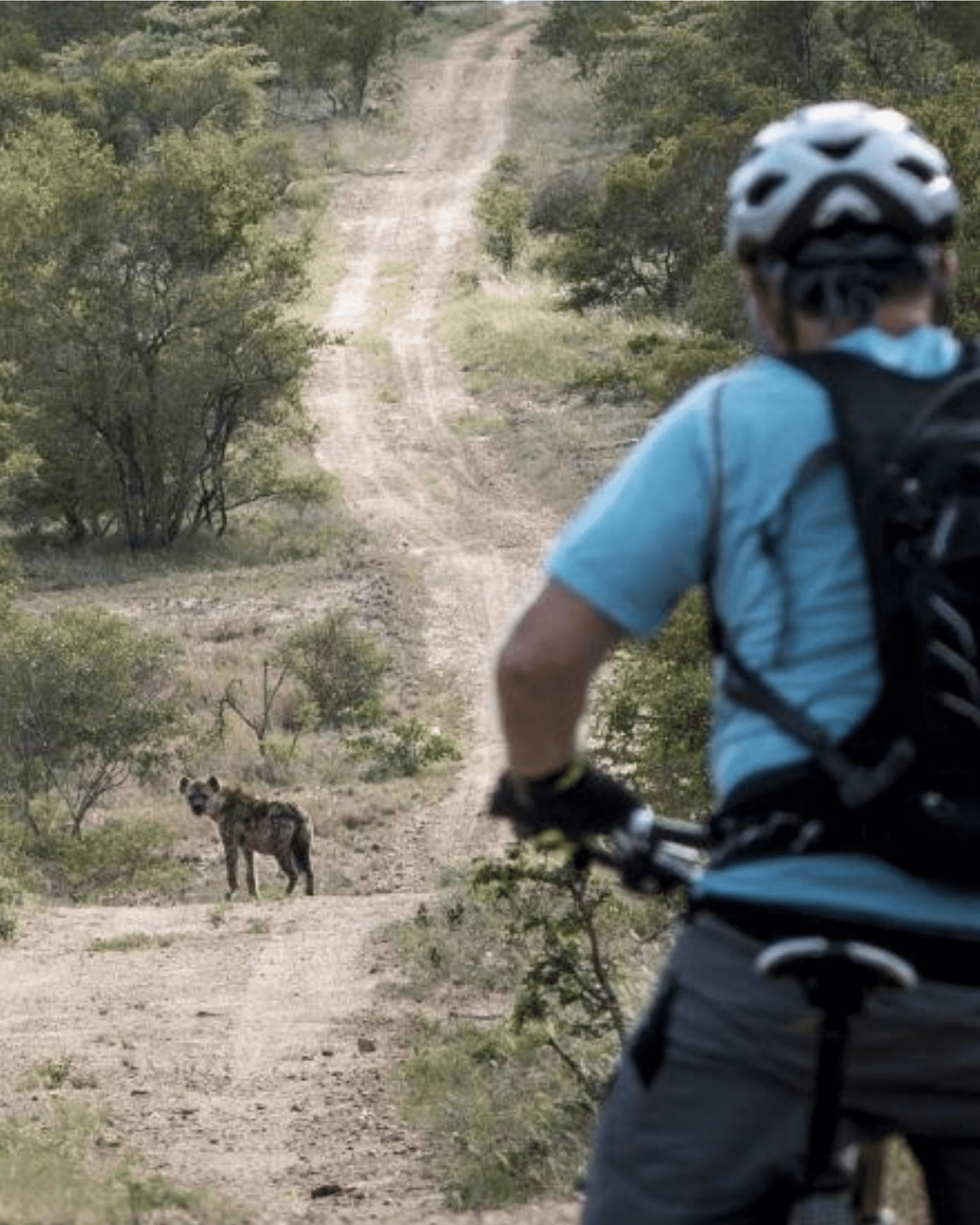 Mountain Biking Safaris Explore some of Africa’s most celebrated wilderness areas and cycle in search of the Big Five and other prolific wildlife on expertly guided mountain biking safaris.
More Info