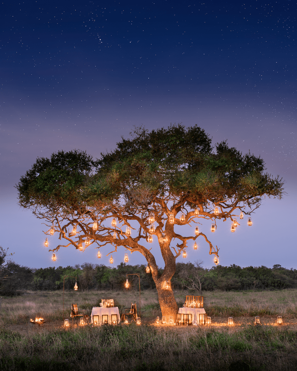 Honeymoon SafariLet Africa’s charismatic charm and breathtaking beauty set the scene for your romantic getaway while you and your partner create memories that will last a lifetime.Explore